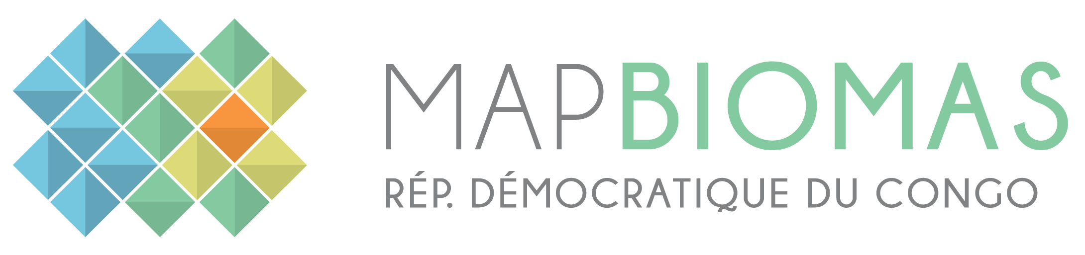 logo_mapbiomas_rep democratique du congo (1)
